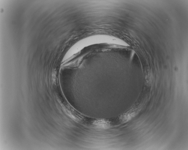 X0000059080231200510281731