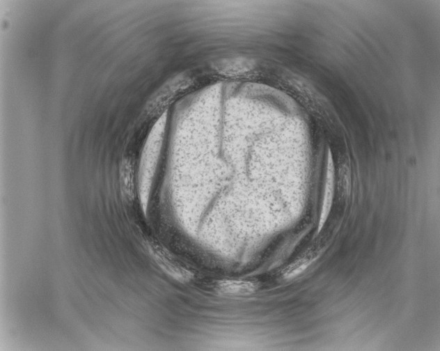 X0000059080234200510281731