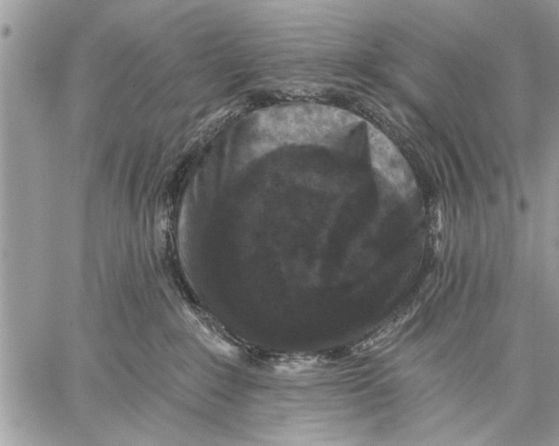 X0000059080235200510281731