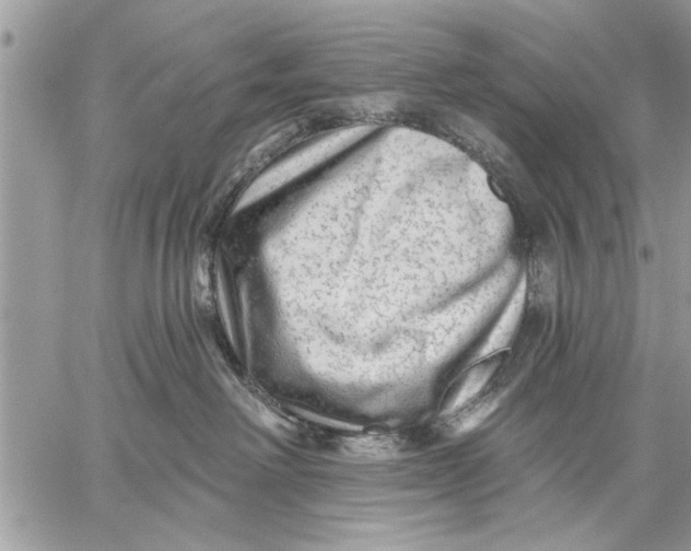 X0000059080238200510281731