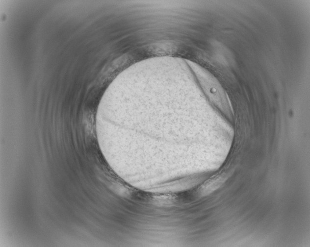 X0000059080240200510281731