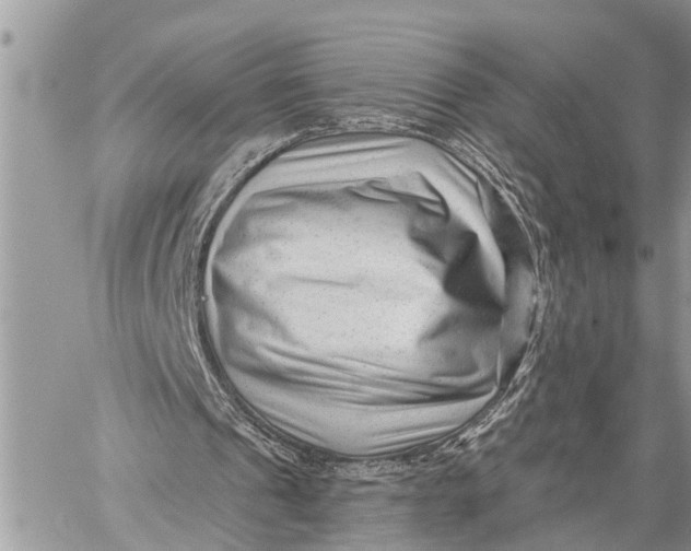 X0000059080241200510281731