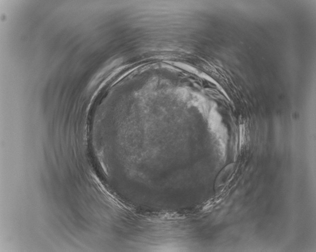 X0000059080243200510281731