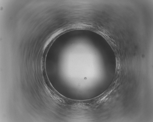 X0000059080244200510281731