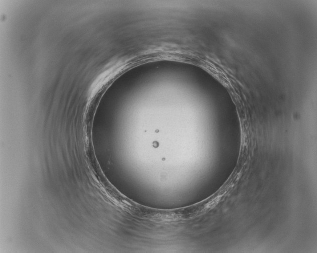 X0000059080245200510281731