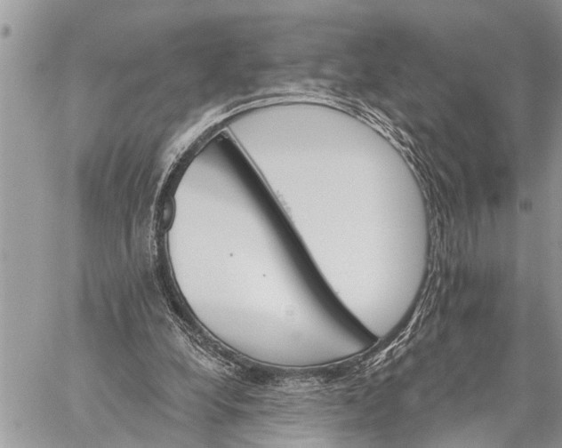 X0000059080248200510281731