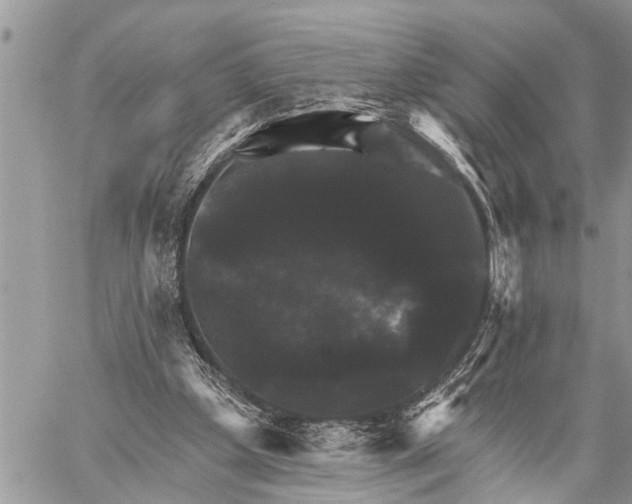 X0000059080249200510281731