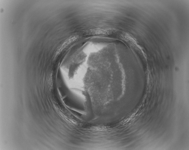 X0000059080250200510281731