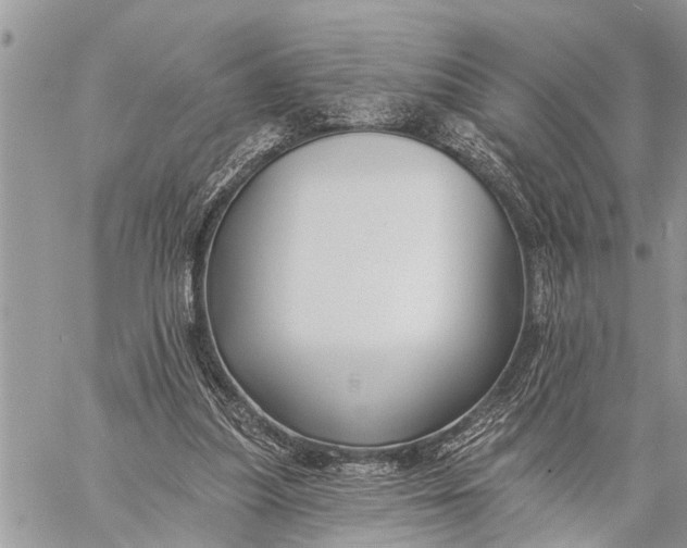 X0000059080251200510281731