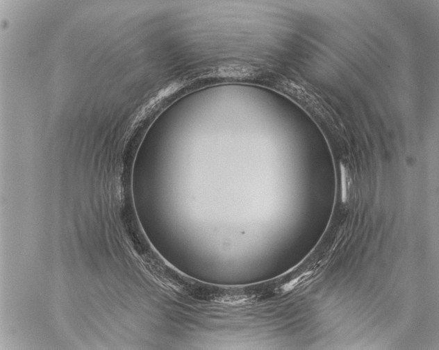 X0000059080252200510281731