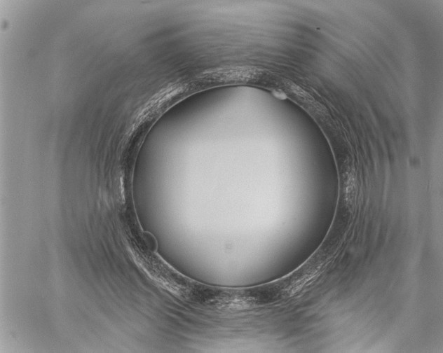 X0000059080254200510281731