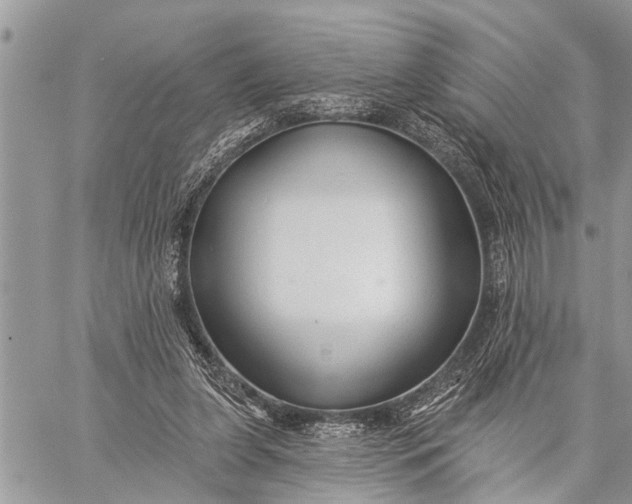 X0000059080255200510281731