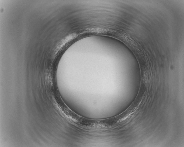 X0000059080256200510281731