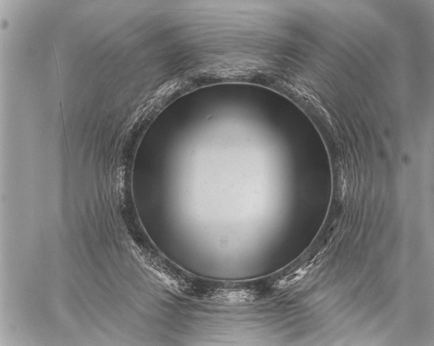 X0000059080260200510281731