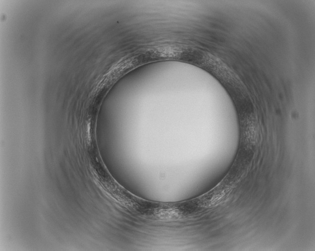 X0000059080262200510281731