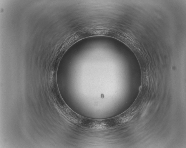 X0000059080263200510281731