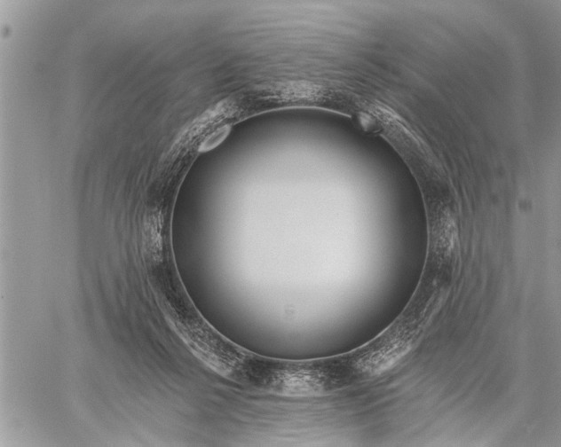 X0000059080264200510281731