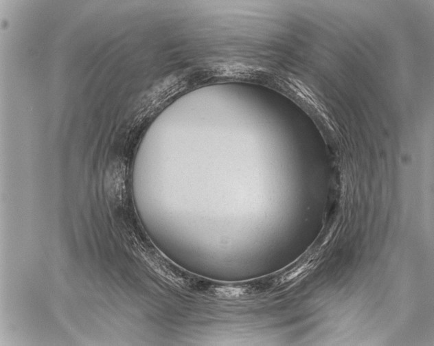 X0000059080265200510281731