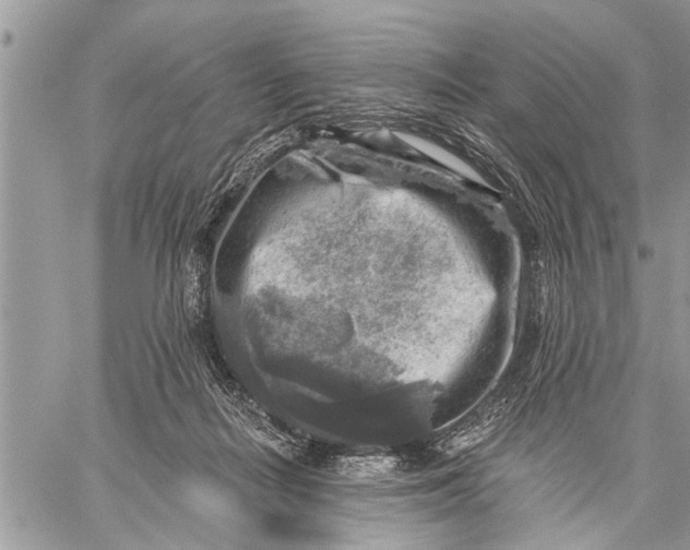 X0000059080266200510281731