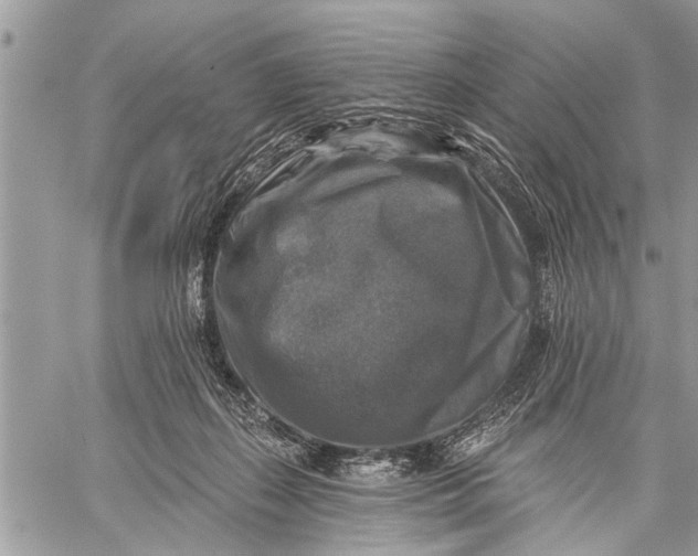 X0000059080267200510281731