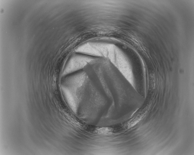 X0000059080269200510281731