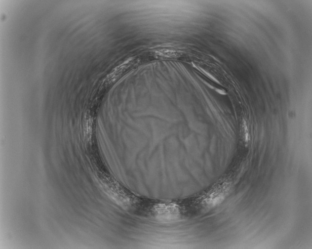 X0000059080271200510281731