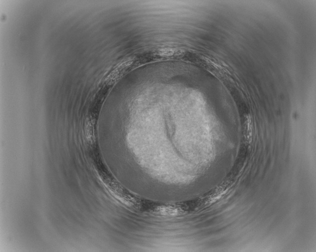 X0000059080272200510281731