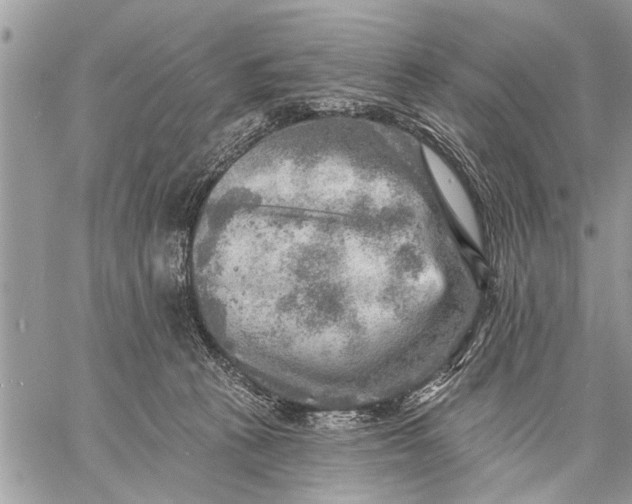 X0000059080273200510281731