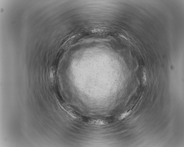 X0000059080276200510281731