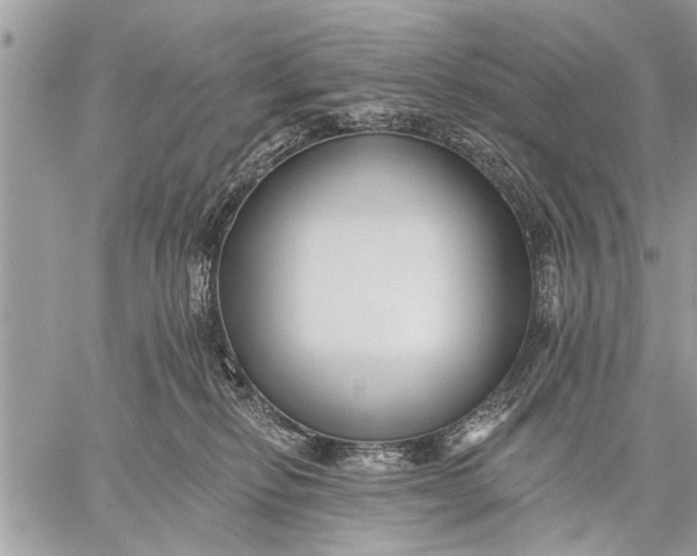 X0000059080278200510281731