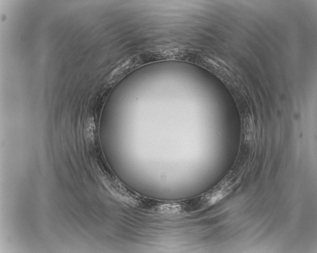 X0000059080279200510281731