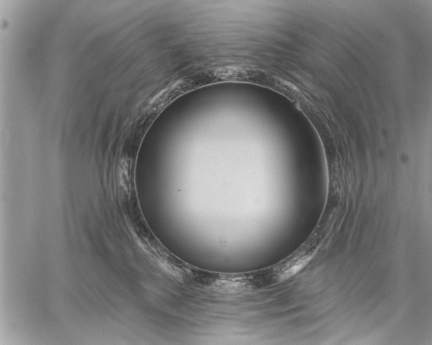 X0000059080280200510281731