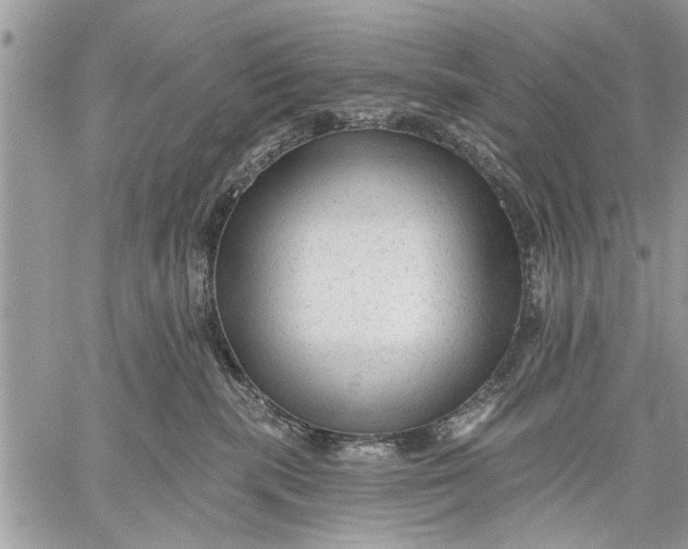 X0000059080283200510281731