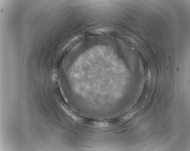 X0000059080284200510281731