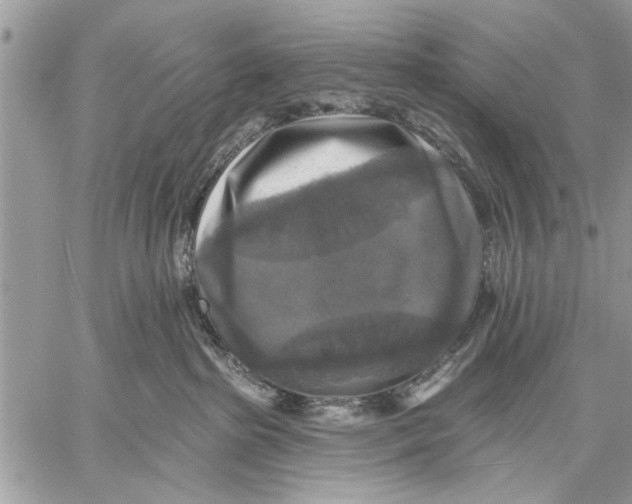 X0000059080285200510281731