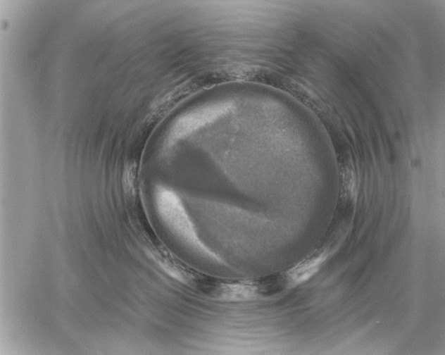 X0000059080286200510281731