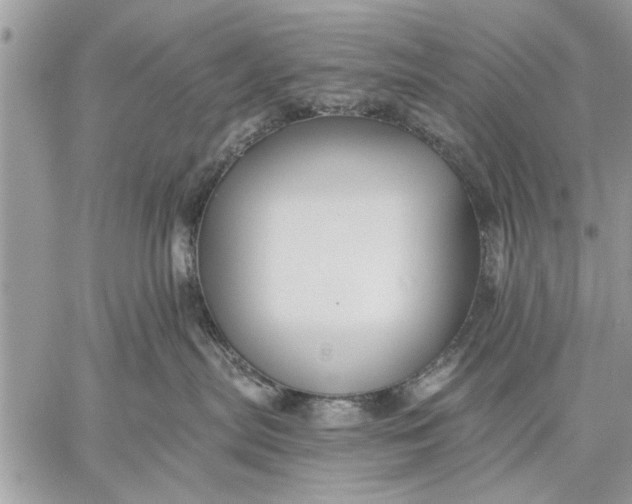 X0000059080287200510281731