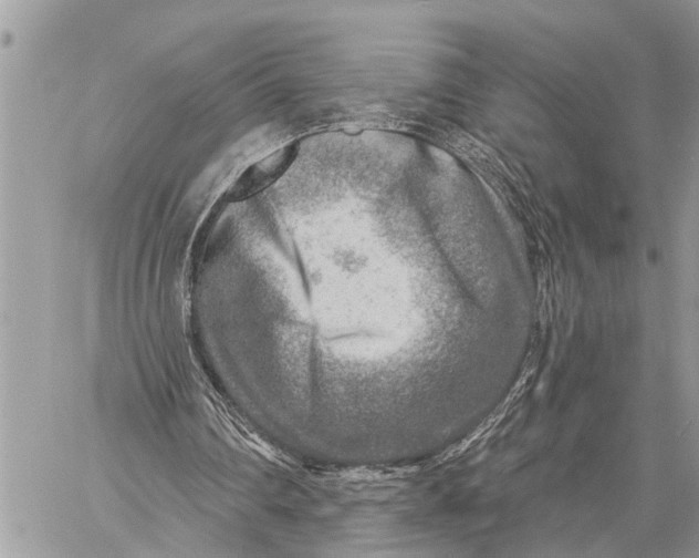 X0000059080290200510281730