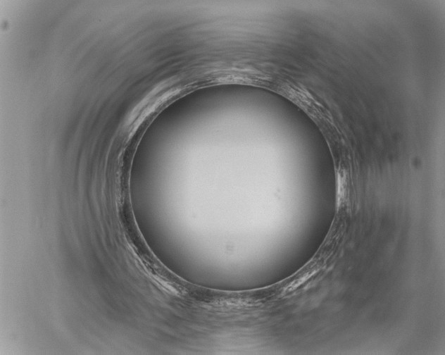 X0000059080291200510281730