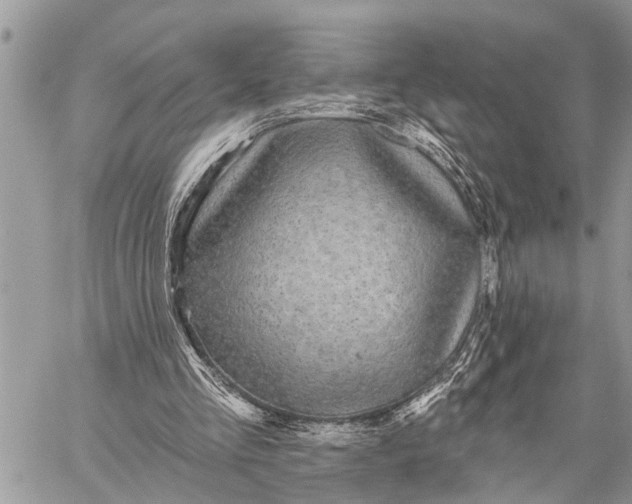 X0000059080293200510281730