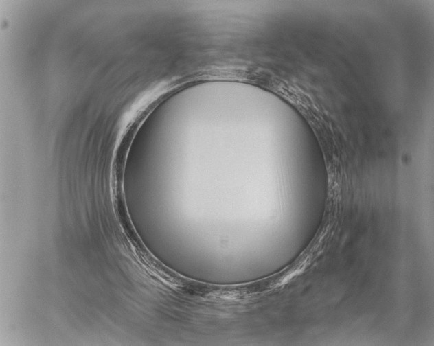 X0000059080294200510281730