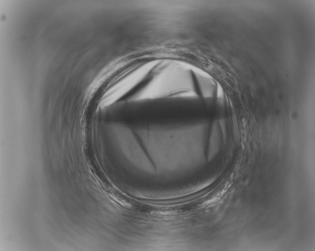 X0000059080295200510281730