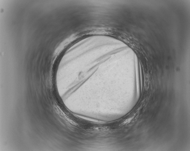 X0000059080296200510281730