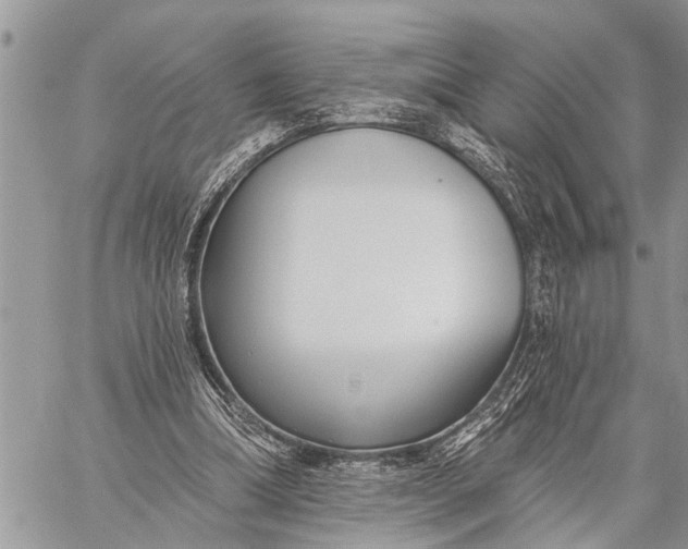 X0000059080298200510281730