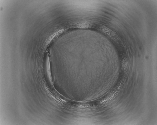 X0000059080303200510281730