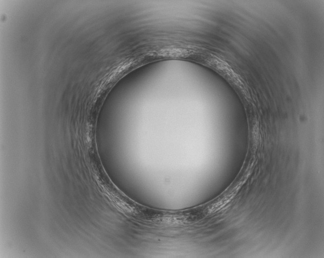 X0000059080305200510281730