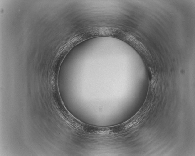 X0000059080306200510281730