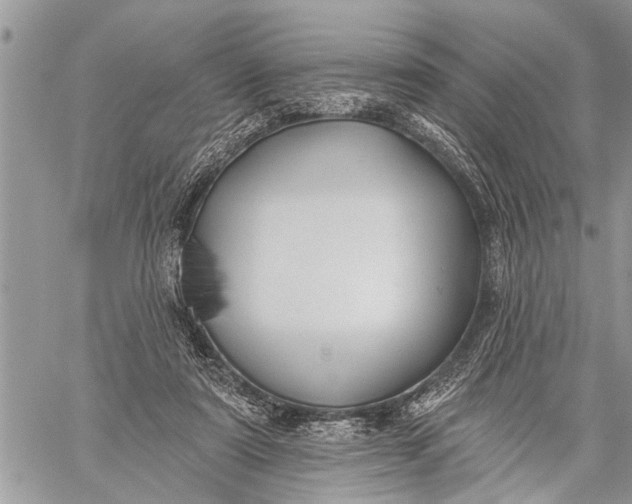 X0000059080307200510281730