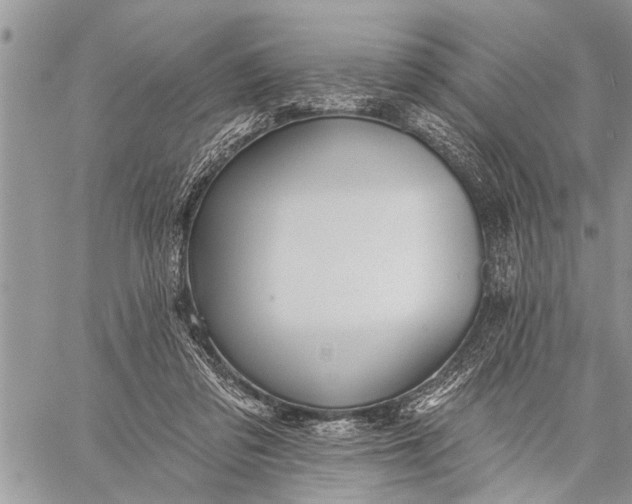 X0000059080309200510281730