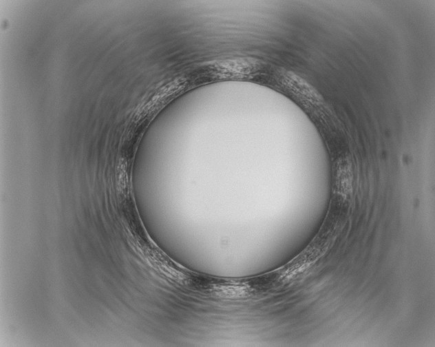 X0000059080318200510281730